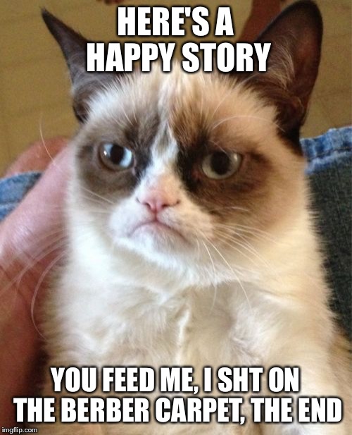 Grumpy Cat Meme | HERE'S A HAPPY STORY YOU FEED ME, I SHT ON THE BERBER CARPET, THE END | image tagged in memes,grumpy cat | made w/ Imgflip meme maker