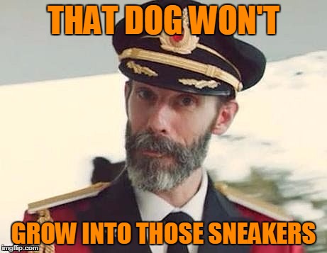 Captain Obvious | THAT DOG WON'T GROW INTO THOSE SNEAKERS | image tagged in captain obvious | made w/ Imgflip meme maker