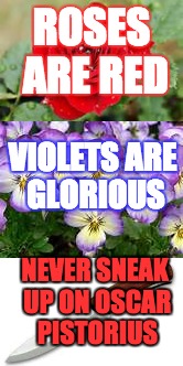 ROSES ARE RED; VIOLETS ARE GLORIOUS; NEVER SNEAK UP ON OSCAR PISTORIUS | image tagged in roses,violets,oscar,pistorius | made w/ Imgflip meme maker