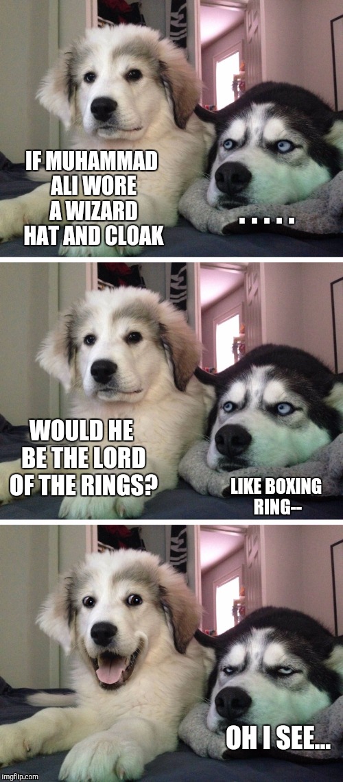 Bad pun dogs | . . . . . IF MUHAMMAD ALI WORE A WIZARD HAT AND CLOAK; WOULD HE BE THE LORD OF THE RINGS? LIKE BOXING RING--; OH I SEE... | image tagged in bad pun dogs | made w/ Imgflip meme maker