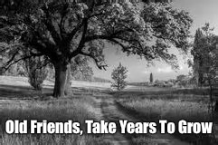 Old Friends,
Take Years To Grow | image tagged in old friends | made w/ Imgflip meme maker