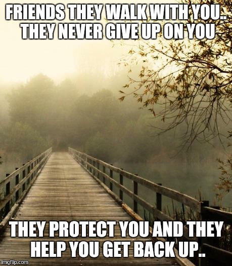 Best Friends | FRIENDS THEY WALK WITH YOU.. THEY NEVER GIVE UP ON YOU; THEY PROTECT YOU AND THEY HELP YOU GET BACK UP.. | image tagged in best friends | made w/ Imgflip meme maker