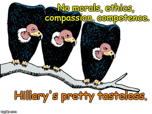 Hillary's pretty tasteless | No morals, ethics, compassion, competence. Hillary's pretty tasteless. | image tagged in vultures,hillary clinton | made w/ Imgflip meme maker