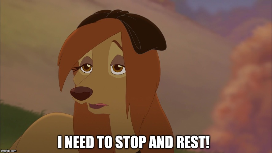 I Need To Stop And Rest! | I NEED TO STOP AND REST! | image tagged in dixie exhausted,memes,disney,the fox and the hound 2,reba mcentire,dog | made w/ Imgflip meme maker