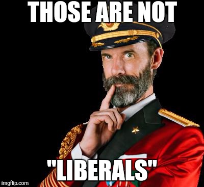 captain obvious | THOSE ARE NOT; "LIBERALS" | image tagged in captain obvious | made w/ Imgflip meme maker