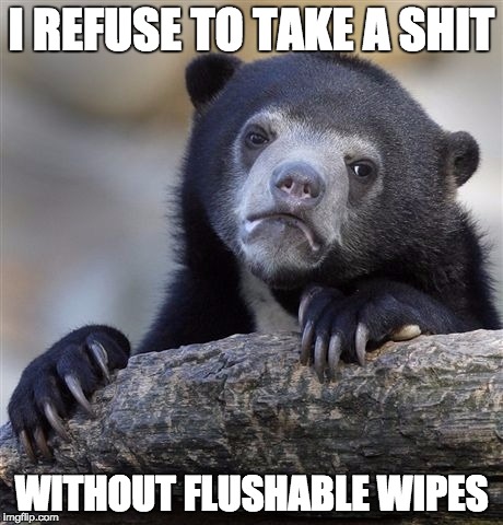 Confession Bear Meme | I REFUSE TO TAKE A SHIT; WITHOUT FLUSHABLE WIPES | image tagged in memes,confession bear,AdviceAnimals | made w/ Imgflip meme maker