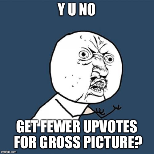 Y U No Meme | Y U NO GET FEWER UPVOTES FOR GROSS PICTURE? | image tagged in memes,y u no | made w/ Imgflip meme maker