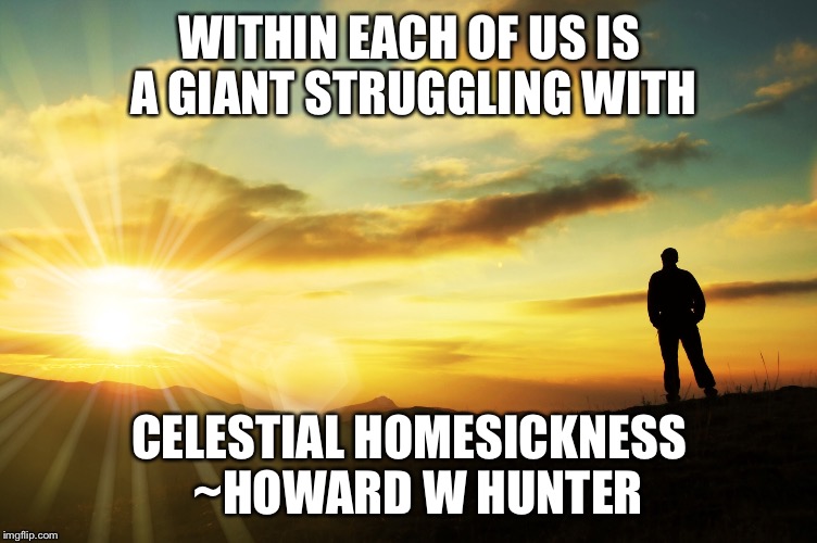WITHIN EACH OF US IS A GIANT STRUGGLING WITH; CELESTIAL HOMESICKNESS 
~HOWARD W HUNTER | image tagged in giant | made w/ Imgflip meme maker
