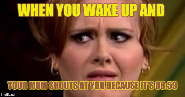Was meant to wake up at 09:00 | WHEN YOU WAKE UP AND; YOUR MUM SHOUTS AT YOU BECAUSE IT'S 08:59 | image tagged in no really adele | made w/ Imgflip meme maker