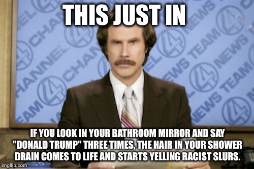 Ron Burgundy | THIS JUST IN; IF YOU LOOK IN YOUR BATHROOM MIRROR AND SAY "DONALD TRUMP" THREE TIMES, THE HAIR IN YOUR SHOWER DRAIN COMES TO LIFE AND STARTS YELLING RACIST SLURS. | image tagged in memes,ron burgundy | made w/ Imgflip meme maker