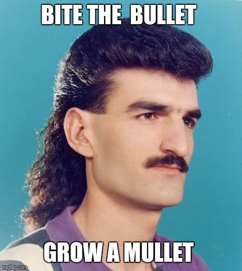 mullet  | BITE THE  BULLET; GROW A MULLET | image tagged in mullet | made w/ Imgflip meme maker