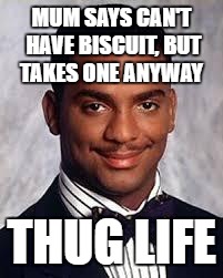 Thug Life | MUM SAYS CAN'T HAVE BISCUIT, BUT TAKES ONE ANYWAY; THUG LIFE | image tagged in thug life | made w/ Imgflip meme maker