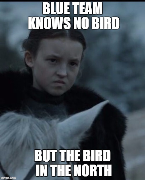 BLUE TEAM KNOWS NO BIRD; BUT THE BIRD IN THE NORTH | made w/ Imgflip meme maker