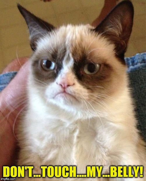 Grumpy Cat Meme | DON'T...TOUCH....MY...BELLY! | image tagged in memes,grumpy cat | made w/ Imgflip meme maker