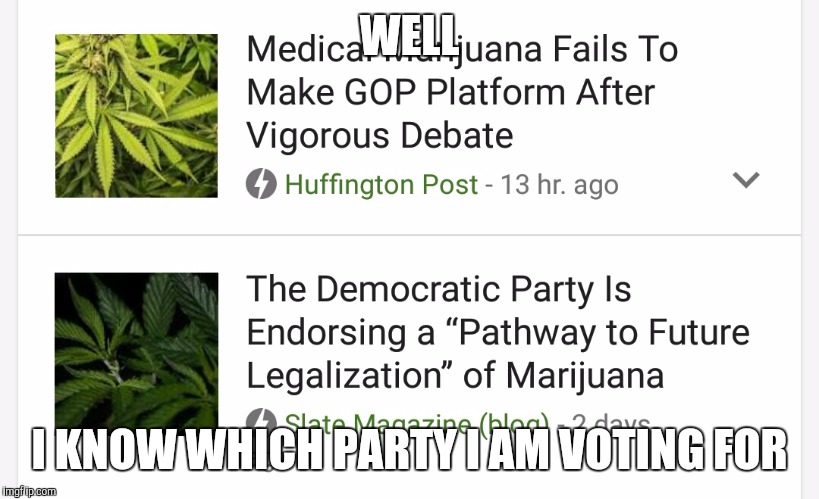 WELL; I KNOW WHICH PARTY I AM VOTING FOR | image tagged in marijuana,medical marijuana,mmj,leafandflower,green | made w/ Imgflip meme maker