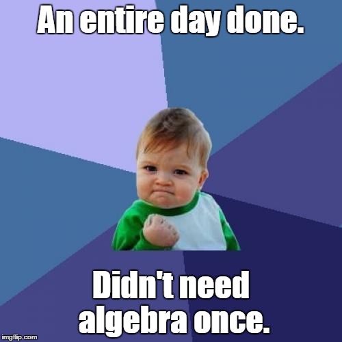Success Kid | An entire day done. Didn't need algebra once. | image tagged in memes,success kid | made w/ Imgflip meme maker