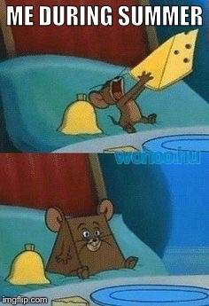 ME DURING SUMMER | image tagged in tom and jerry | made w/ Imgflip meme maker