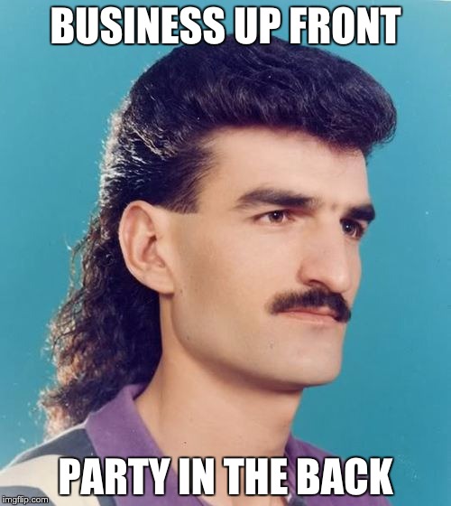 mullet  | BUSINESS UP FRONT; PARTY IN THE BACK | image tagged in mullet | made w/ Imgflip meme maker