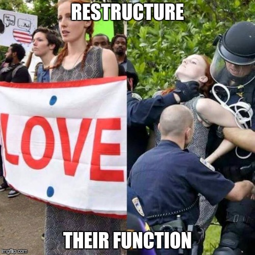 RESTRUCTURE; THEIR FUNCTION | image tagged in restructuretheirfunction,protest | made w/ Imgflip meme maker