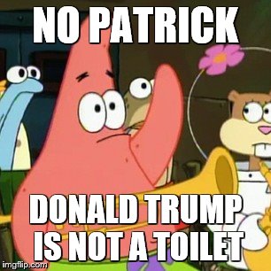 No Patrick Meme | NO PATRICK; DONALD TRUMP IS NOT A TOILET | image tagged in memes,no patrick | made w/ Imgflip meme maker