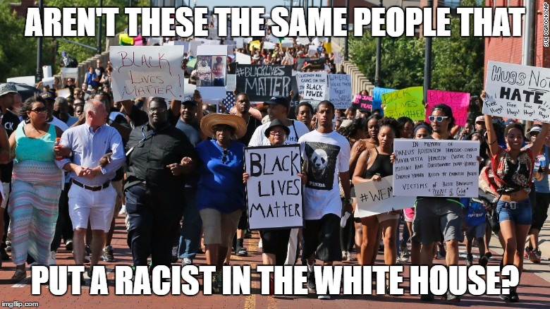 AREN'T THESE THE SAME PEOPLE THAT; PUT A RACIST IN THE WHITE HOUSE? | image tagged in racist | made w/ Imgflip meme maker