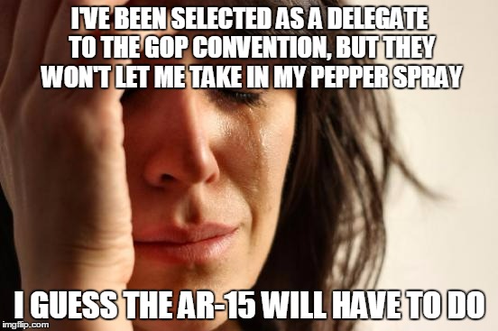 I hear Trump has some roving hands | I'VE BEEN SELECTED AS A DELEGATE TO THE GOP CONVENTION, BUT THEY WON'T LET ME TAKE IN MY PEPPER SPRAY; I GUESS THE AR-15 WILL HAVE TO DO | image tagged in memes,first world problems,politics,election 2016,republican | made w/ Imgflip meme maker