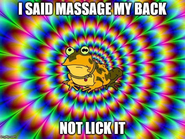 Hypnotoad | I SAID MASSAGE MY BACK; NOT LICK IT | image tagged in hypnotoad | made w/ Imgflip meme maker