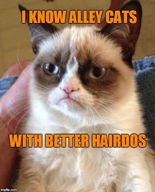 Grumpy Cat Meme | I KNOW ALLEY CATS WITH BETTER HAIRDOS | image tagged in memes,grumpy cat | made w/ Imgflip meme maker