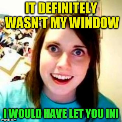 IT DEFINITELY WASN'T MY WINDOW I WOULD HAVE LET YOU IN! | made w/ Imgflip meme maker