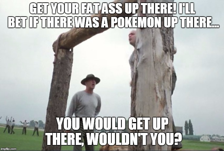 GET YOUR FAT ASS UP THERE! I'LL BET IF THERE WAS A POKEMON UP THERE... YOU WOULD GET UP THERE, WOULDN'T YOU? | image tagged in pokemon go,full metal jacket | made w/ Imgflip meme maker