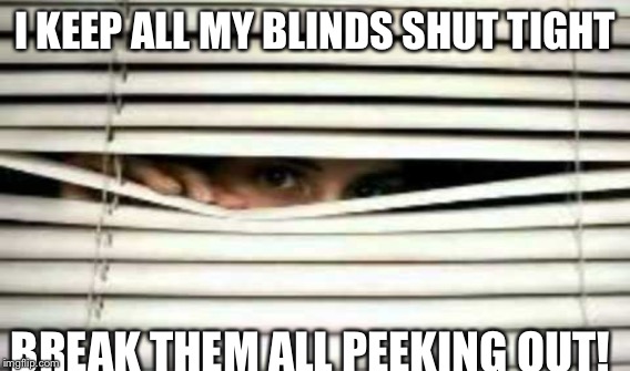 Tweaking and Peeking | I KEEP ALL MY BLINDS SHUT TIGHT; BREAK THEM ALL PEEKING OUT! | image tagged in peeking,high | made w/ Imgflip meme maker