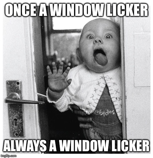 ONCE A WINDOW LICKER ALWAYS A WINDOW LICKER | made w/ Imgflip meme maker