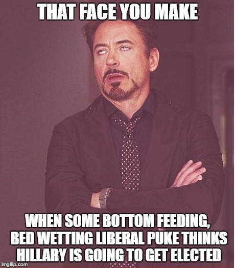 2016 | THAT FACE YOU MAKE WHEN SOME BOTTOM FEEDING, BED WETTING LIBERAL PUKE THINKS HILLARY IS GOING TO GET ELECTED | image tagged in memes,face you make robert downey jr | made w/ Imgflip meme maker