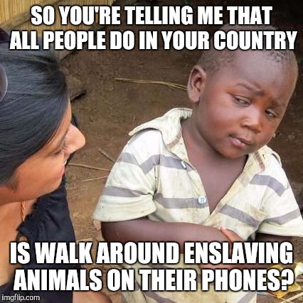 So Your Telling Me...... | SO YOU'RE TELLING ME THAT ALL PEOPLE DO IN YOUR COUNTRY; IS WALK AROUND ENSLAVING ANIMALS ON THEIR PHONES? | image tagged in so your telling me | made w/ Imgflip meme maker