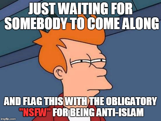 Futurama Fry Meme | JUST WAITING FOR SOMEBODY TO COME ALONG AND FLAG THIS WITH THE OBLIGATORY "NSFW" FOR BEING ANTI-ISLAM "NSFW" | image tagged in memes,futurama fry | made w/ Imgflip meme maker