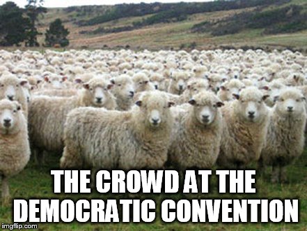 Hillary Supporters | THE CROWD AT THE DEMOCRATIC CONVENTION | image tagged in hillary supporters | made w/ Imgflip meme maker