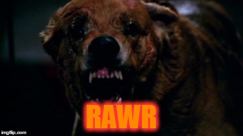 RAWR | made w/ Imgflip meme maker