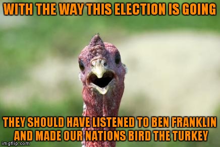 The media just gobbles it up... | WITH THE WAY THIS ELECTION IS GOING; THEY SHOULD HAVE LISTENED TO BEN FRANKLIN AND MADE OUR NATIONS BIRD THE TURKEY | image tagged in turkey,election 2016 | made w/ Imgflip meme maker