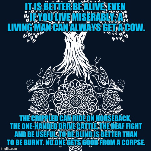 Odin says, #1 | IT IS BETTER BE ALIVE, EVEN IF YOU LIVE MISERABLY; A LIVING MAN CAN ALWAYS GET A COW. THE CRIPPLED CAN RIDE ON HORSEBACK, THE ONE-HANDED DRIVE CATTLE, THE DEAF FIGHT AND BE USEFUL. TO BE BLIND IS BETTER THAN TO BE BURNT. NO ONE GETS GOOD FROM A CORPSE. | image tagged in pagan,pagans,viking,vikings,odin | made w/ Imgflip meme maker