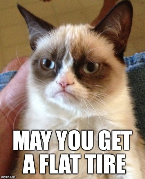 Grumpy Cat Meme | MAY YOU GET A FLAT TIRE | image tagged in memes,grumpy cat | made w/ Imgflip meme maker