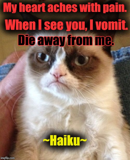 A poem for the Cat in the Hat. | When I see you, I vomit. My heart aches with pain. Die away from me. ~Haiku~ | image tagged in memes,grumpy cat,poems,haiku,poetry,that 70's show | made w/ Imgflip meme maker
