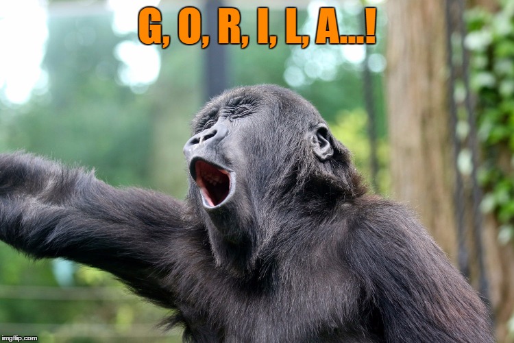 G, O, R, I, L, A...! | made w/ Imgflip meme maker