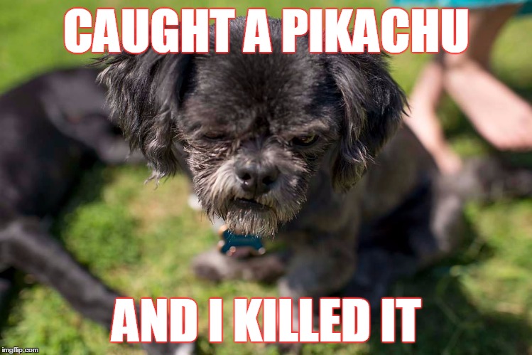 Dog Sad | CAUGHT A PIKACHU; AND I KILLED IT | image tagged in dog sad | made w/ Imgflip meme maker