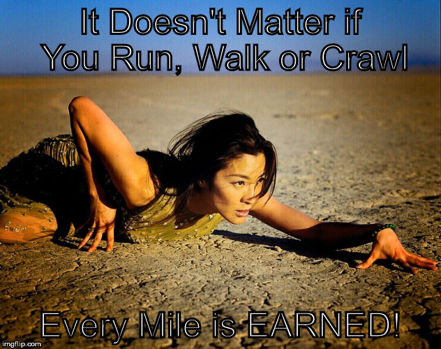 Desert | It Doesn't Matter if You Run, Walk or Crawl; Every Mile is EARNED! | image tagged in desert | made w/ Imgflip meme maker