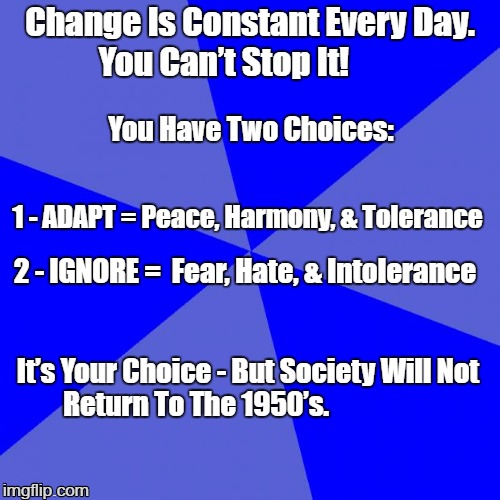 Blank Blue Background Meme | Change Is Constant Every Day.  You Can’t Stop It! You Have Two Choices:; 1 - ADAPT = Peace, Harmony, & Tolerance; 2 - IGNORE =  Fear, Hate, & Intolerance; It’s Your Choice - But Society Will Not Return To The 1950’s. | image tagged in memes,blank blue background | made w/ Imgflip meme maker