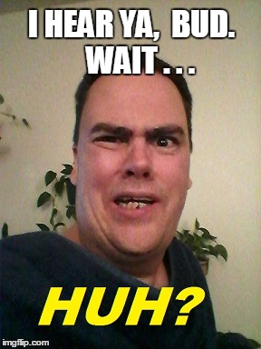 I HEAR YA,  BUD.   WAIT . . . | made w/ Imgflip meme maker