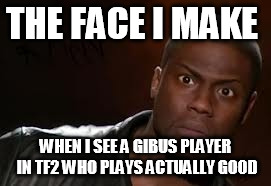 Kevin Hart | THE FACE I MAKE; WHEN I SEE A GIBUS PLAYER IN TF2 WHO PLAYS ACTUALLY GOOD | image tagged in memes,kevin hart the hell | made w/ Imgflip meme maker