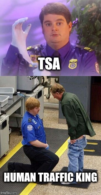It's a Master - Slave relationship.  | TSA; HUMAN TRAFFIC KING | image tagged in tsa douche,airport,security guard | made w/ Imgflip meme maker