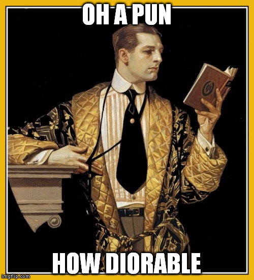 Poetry dude | OH A PUN HOW DIORABLE | image tagged in poetry dude | made w/ Imgflip meme maker