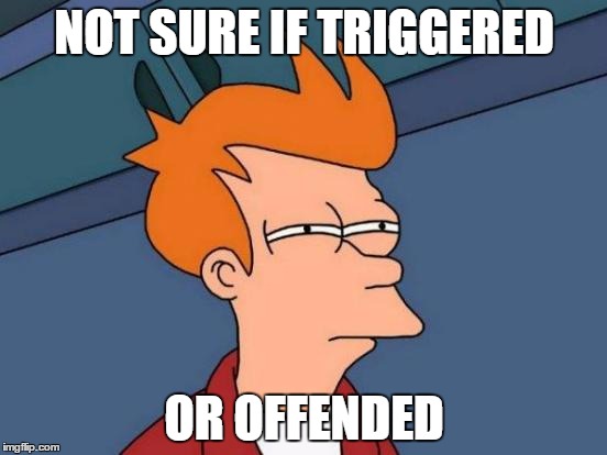 Futurama Fry | NOT SURE IF TRIGGERED; OR OFFENDED | image tagged in memes,futurama fry | made w/ Imgflip meme maker